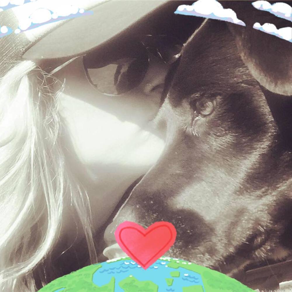 Meet your Posher, Lindsay